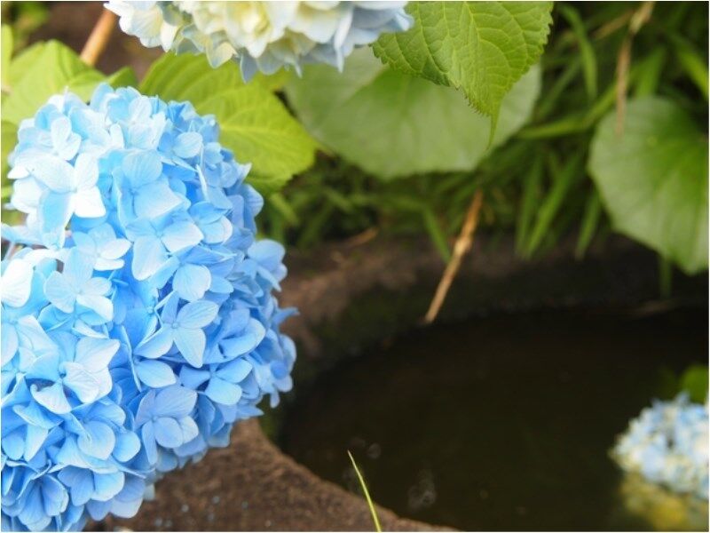 Atami Taikansou Ngoại thất bức ảnh
