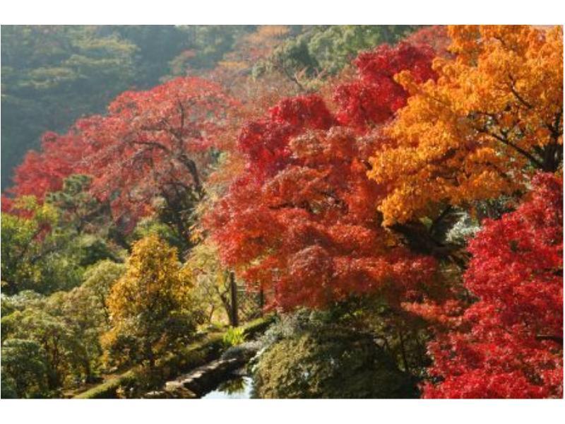 Atami Taikansou Ngoại thất bức ảnh
